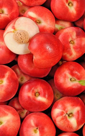 La Nectarine blanche HVE