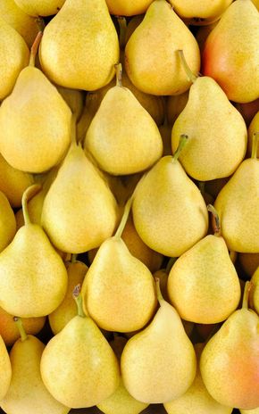 La Poire Guyot BIO