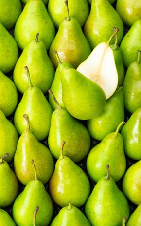 La Poire louise bonne HVE