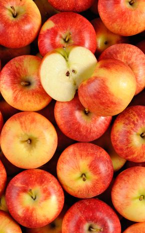 La Pomme dalinbel HVE