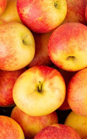 Pomme Zingy
