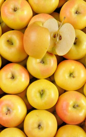 La Pomme rubis gold HVE