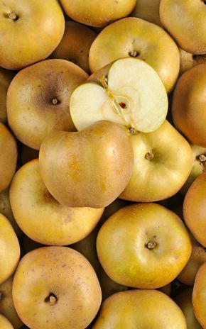 La Pomme canada grise