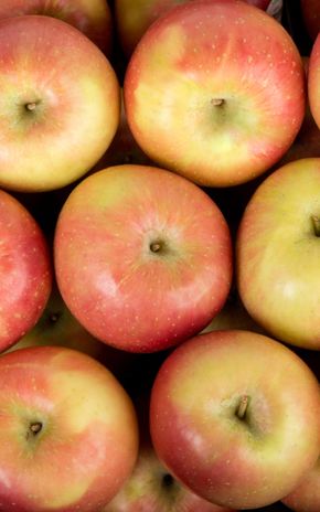 La Pomme Fuji