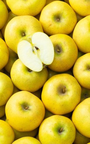 La Pomme chanteclerc