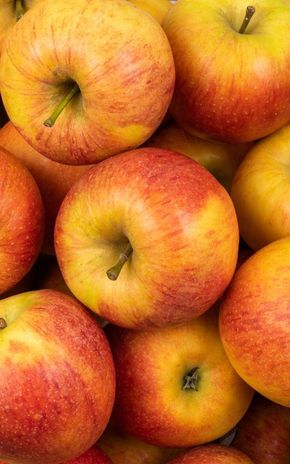 La  Pomme daliclass BIO