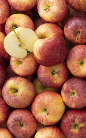 La Pomme gala HVE