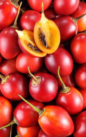 Le Tamarillo