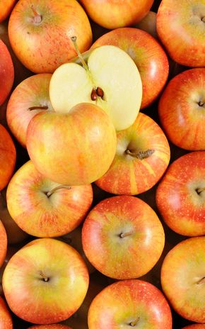 La Pomme rubinette HVE