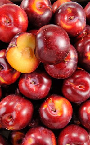 La Prune rouge valérie BIO