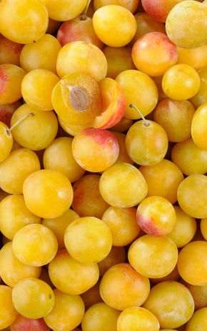 La Mirabelles de Lorraine IGP