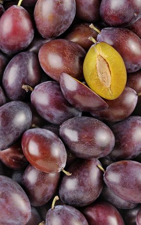 La Prune quetsche