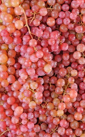Le Raisin rose sans pepin vrac