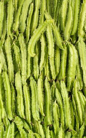 Le Haricot carré ou ailé