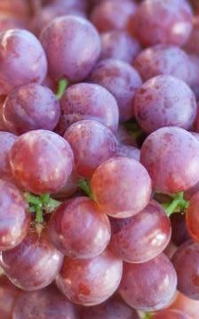 Le Raisin sans pépins fraisea