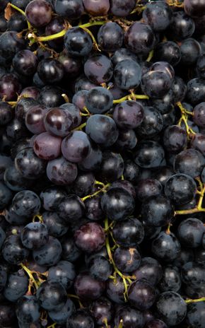 Le Raisin Lavallée HVE