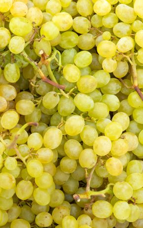 Le Raisin aledo
