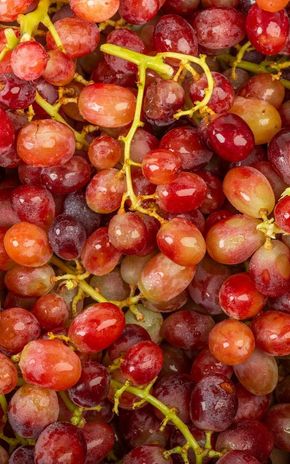 Le Raisin rosé sans pépin