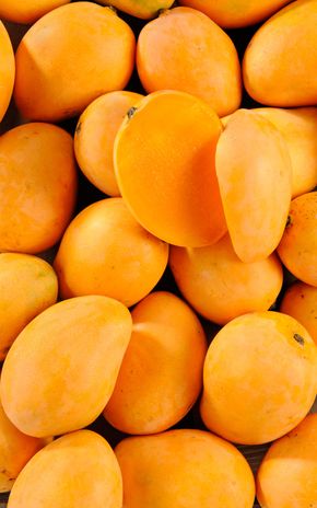 La Mangue exotique