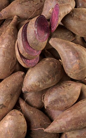 La Patate douce à chair violette