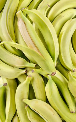 La Banane plantain verte