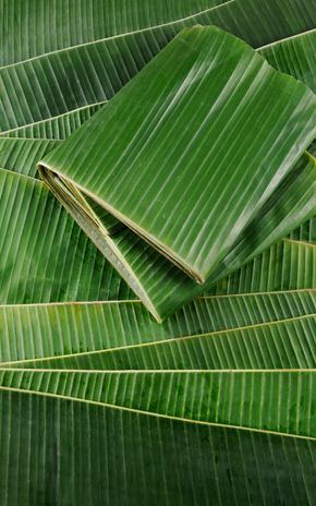 La Feuille de bananier