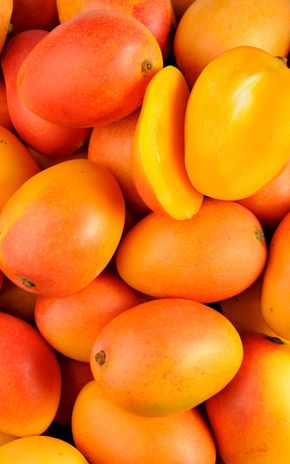 La Mangue sauvage colombienne