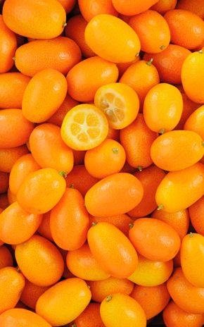 Le Kumquat