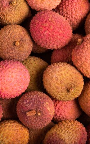 Le Litchi Sélection
