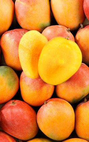 La Mangue sélection