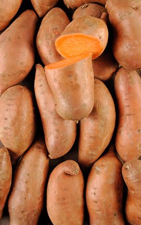La Patate douce à chair orange