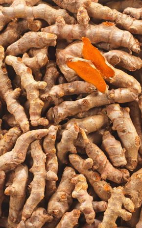 Le Curcuma frais