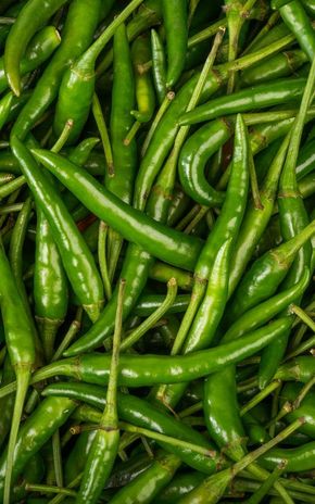 Le Mini-piment vert thaï