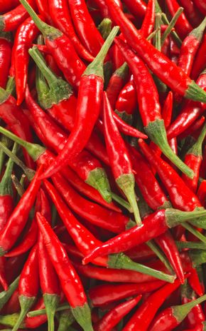 Le Mini-piment rouge thaï