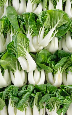 Le Spoon pak choi