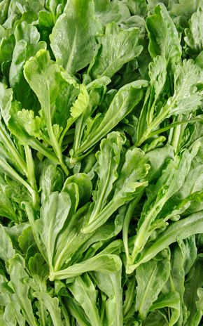 Le Tong Ho (Chrysanthème couronné)