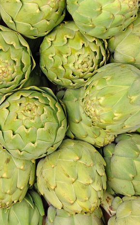 L'Artichaut blanc