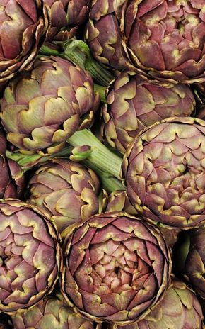 L'Artichaut violet