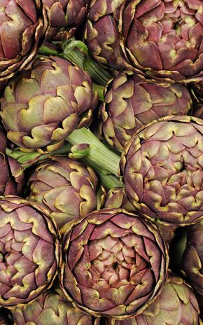 L'Artichaut violet