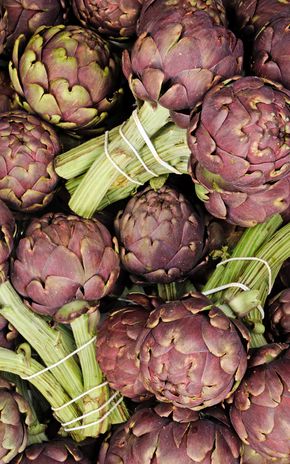 L'Artichaut poivrade