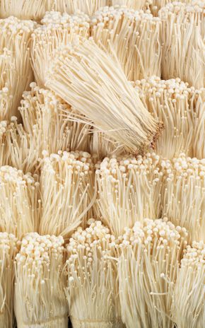 L'Enoki
