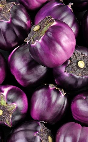 L'Aubergine violette ronde
