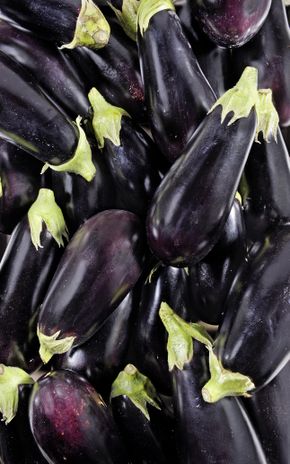 L'Aubergine noire en filet