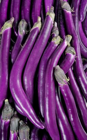 L'Aubergine chinoise