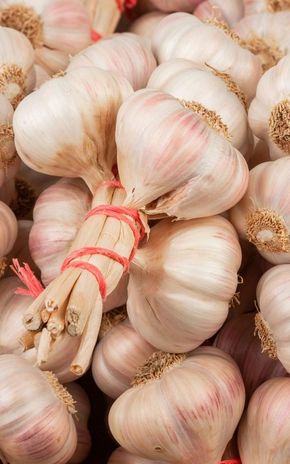 L'Ail rose de Lautrec en tresse IGP