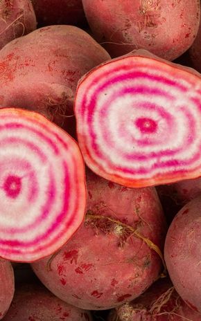 La Betterave chioggia BIO