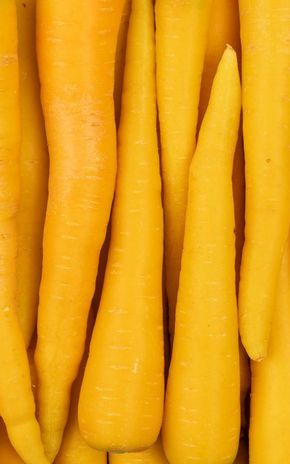 La Carotte jaune