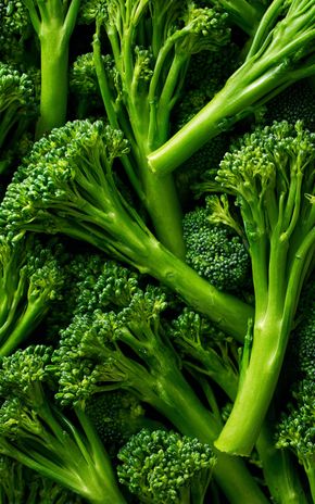 Le Mini Brocoli Bimi