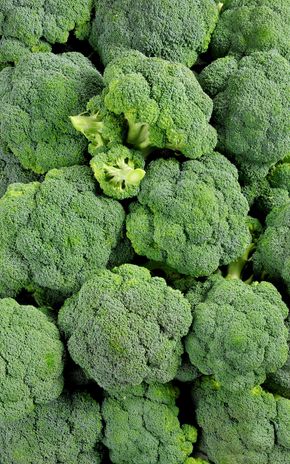 Le Brocoli