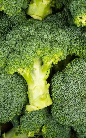Le Brocoli BIO
